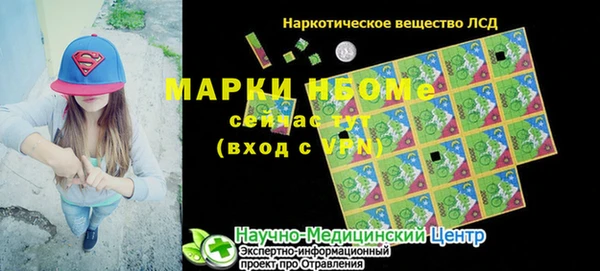 индика Армянск