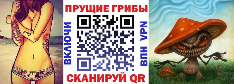 Псилоцибиновые грибы GOLDEN TEACHER  ОМГ ОМГ   Фокино 